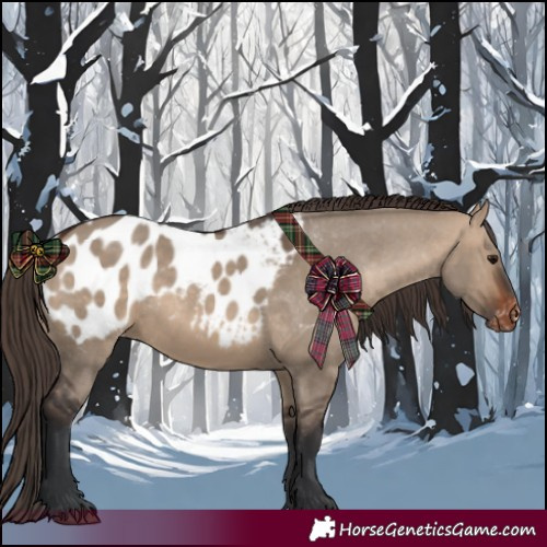 Horse Color:Brown Dun Near Leopard Rabicano 