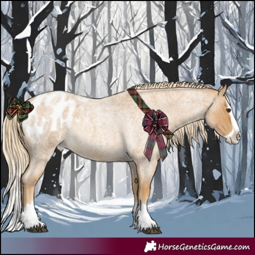 Horse Color:Palomino Roan Splash Appaloosa 