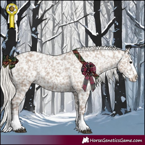 Horse Color:Silver Grullo Splash Appaloosa 