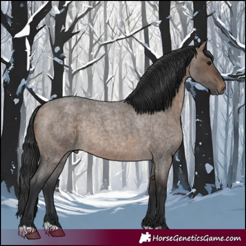 Horse Color:Brown Roan Dun Rabicano 
