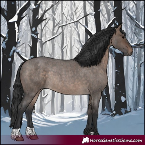 Horse Color:Brown Roan Dun Rabicano 