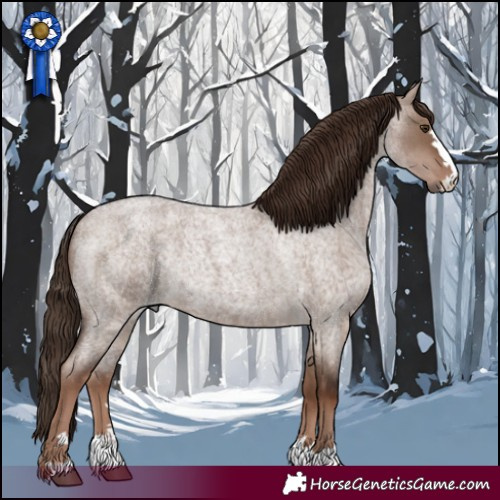 Horse Color:Liver Red Dun Roan Rabicano 