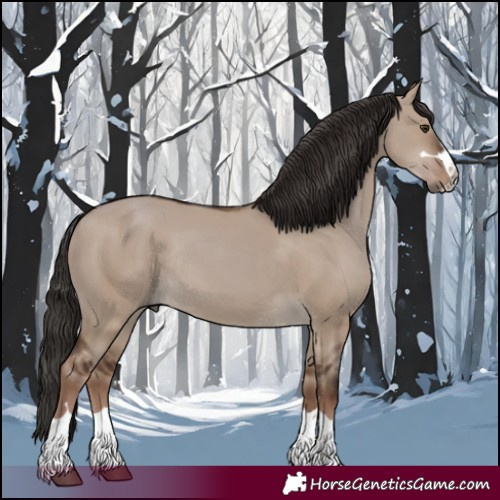 Horse Color:Liver Red Dun Rabicano 