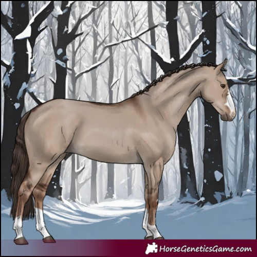 Horse Color:Liver Red Dun Rabicano 