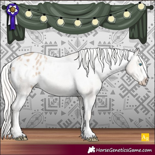 Horse Color:Cremello Varnish 