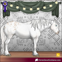 Horse Color:Cremello Appaloosa