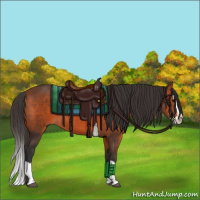 Horse Color:Bay Splash 