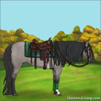 Horse Color:Grullo Roan 
