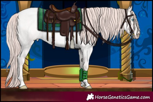 Horse Color:Perlino Roan 