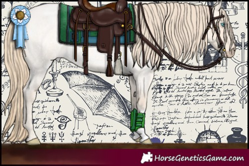 Horse Color:Perlino Roan 