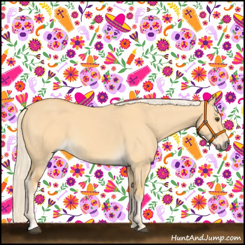 Horse Color:Palomino Dun 