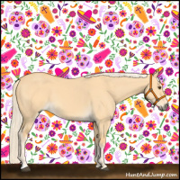 Horse Color:Palomino Dun