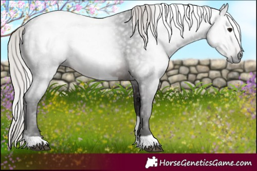 Horse Color:Gray Silver Brown Tobiano 