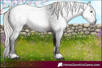 Horse Color:Gray Silver Brown Tobiano 