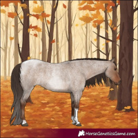 Horse Color:Liver Red Dun Roan Tobiano 