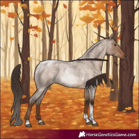 Horse Color:Liver Red Dun Roan Tobiano 