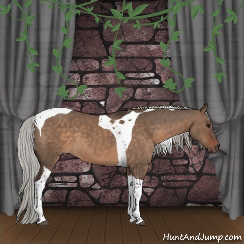 Horse Color:Silver Brown Dun Tobiano 