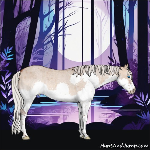 Horse Color:Silver Brown Roan Dun Splash 
