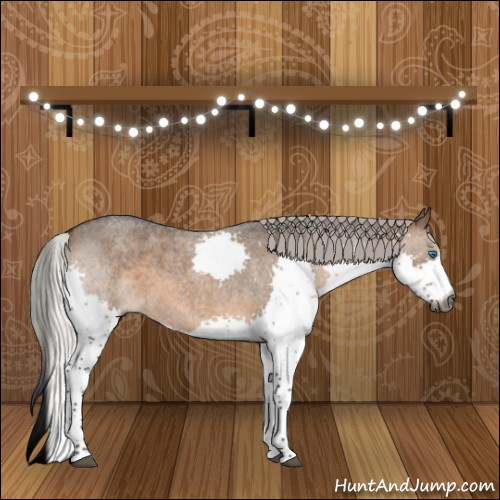 Horse Color:Gray Silver Brown Roan Dun Splash 