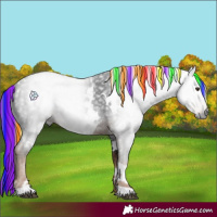 Horse Color:Gray Painted White Spotted Liver Chestnut 