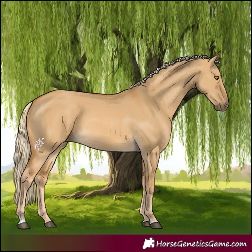 Horse Color:Palomino Dun
