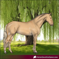 Horse Color:Palomino Dun 