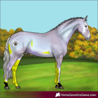 Horse Color:Watercolor Red Onyx 