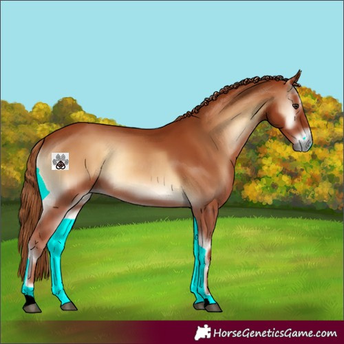 Horse Color:Red Onyx 