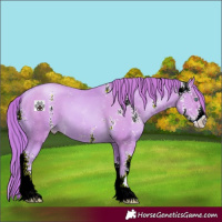 Horse Color:Watercolor Smoky Black Pearl Sabino 