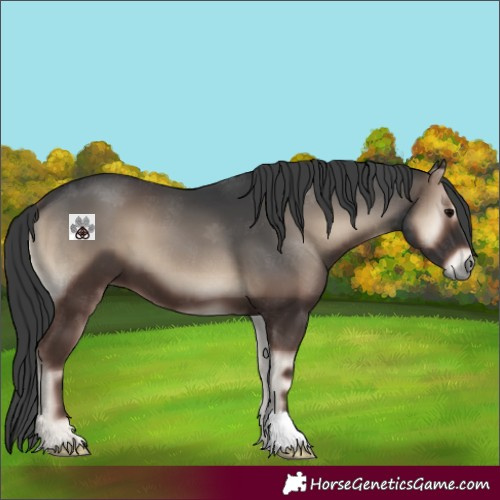 Horse Color:Blue Onyx 