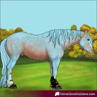 Horse Color:Watercolor White Spotted Brown 