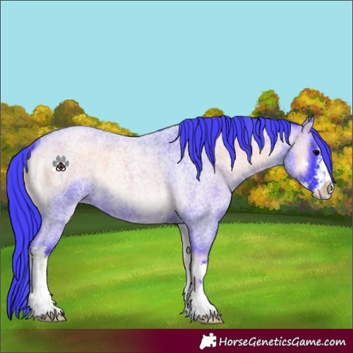 Horse Color:Watercolor Blue Onyx Roan Sabino 