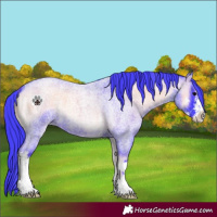 Horse Color:Watercolor Blue Onyx Roan Sabino 