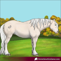 Horse Color:Silver Perlino 