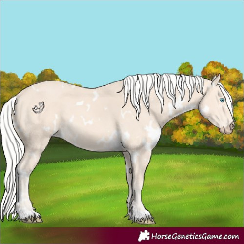 Horse Color:White Spotted Silver Perlino 