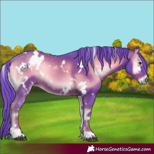Horse Color:Watercolor White Spotted Liver Red Onyx 