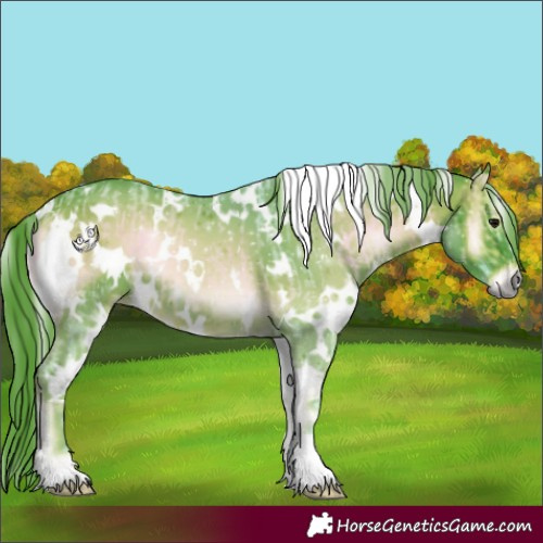 Horse Color:Watercolor White Spotted Silver Brown Onyx  and Watercolor White Spotted Liver Red Onyx 