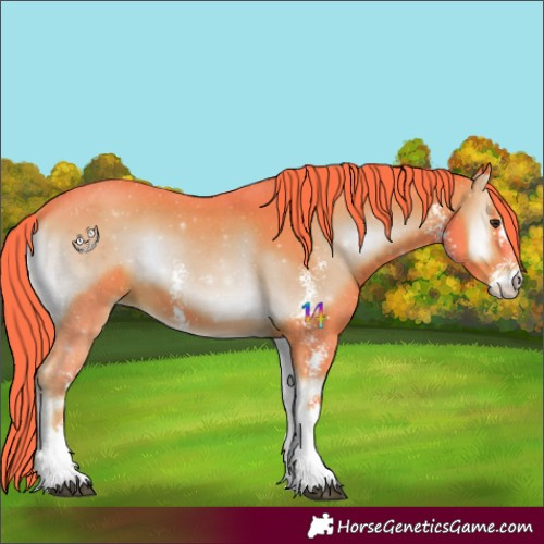 Horse Color:Watercolor Liver Red Onyx Sabino 