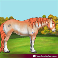 Horse Color:Watercolor Liver Red Onyx Sabino 