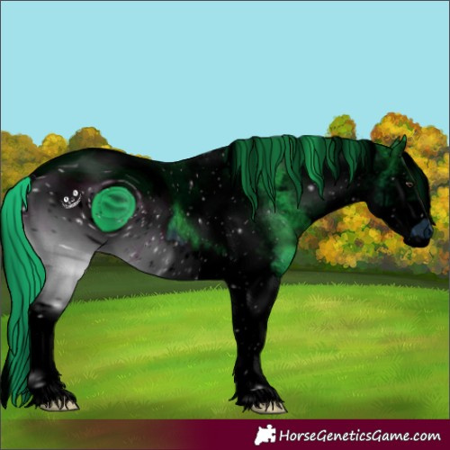 Horse Color:ERROR: UNKNOWN ANOMALY