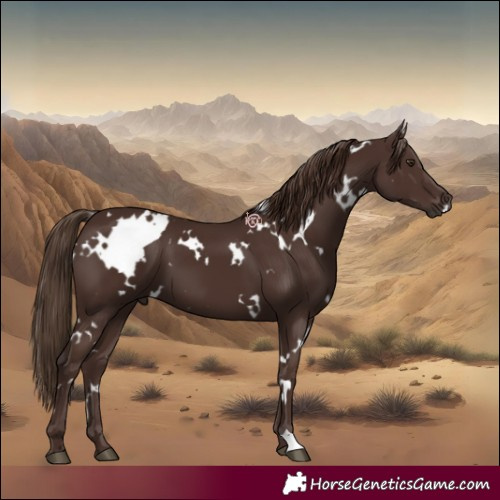 Horse Color:White Spotted Liver Chestnut 