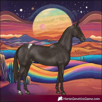 Horse Color:Liver Chestnut Appaloosa 