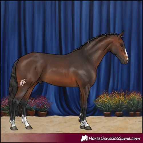 Horse Color:Brown 