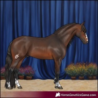 Horse Color:Brown 