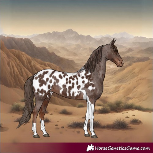 Horse Color:Liver Chestnut Tobiano Near Leopard 