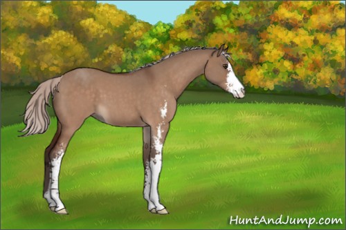 Horse Color:Silver Brown Roan Dun Sabino 