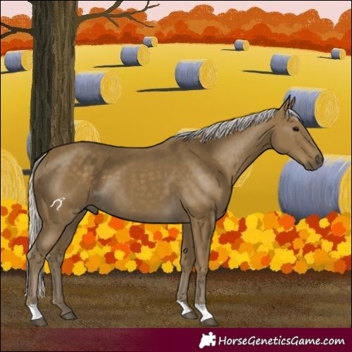 Horse Color:Silver Smoky Black 