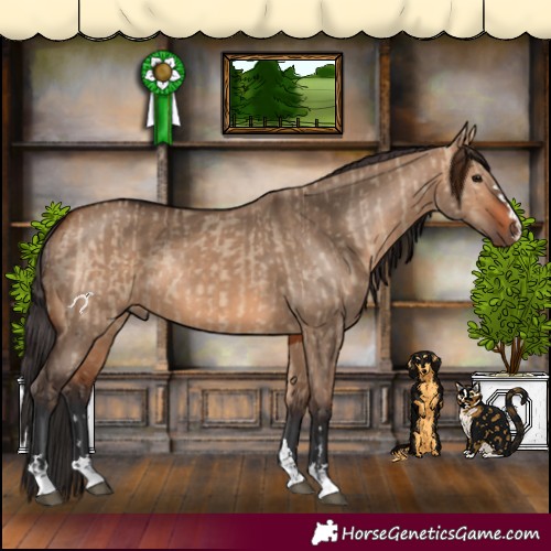 Horse Color:Bay Dun and Bay Dun
