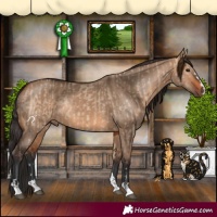 Horse Color:Bay Dun and Bay Dun