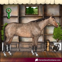 Horse Color:Bay Dun  and Bay Dun 